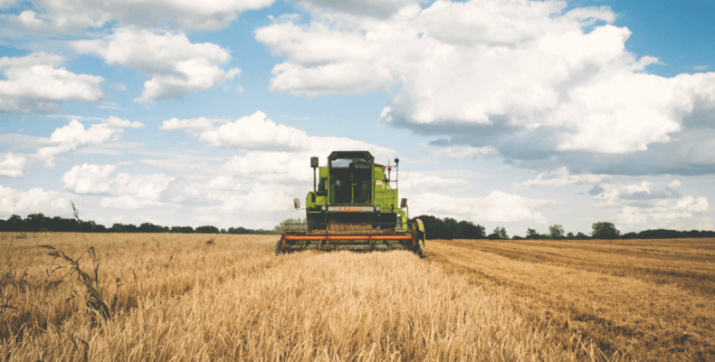 Ауезхан Даринов: «Сельское хозяйство нельзя застраховать от глупости…»