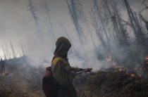 Жамбылский лесник скончался при тушении природного пожара