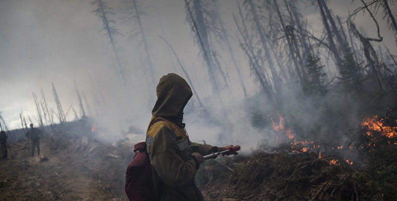 СТИХИЯ «КРАСНОГО ЦВЕТКА»:  Как уберечь леса от пожаров?