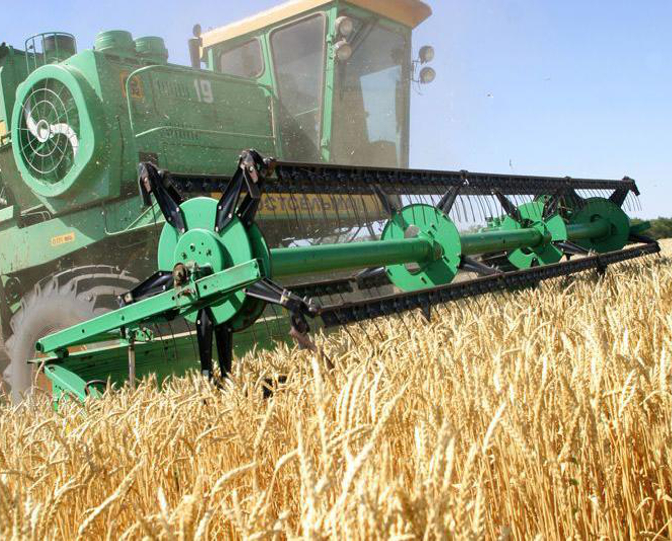 Выше намеченного урожайность зерновых колосовых в хозяйствах Жамбылской области