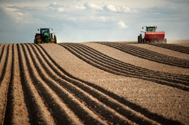 140 миллиардов тенге дают казахстанским аграриям на посевные и уборочные работы