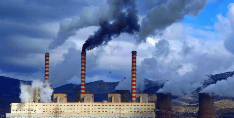 Жамбылский блогер поднимает экологическую проблему