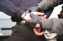 Свыше 400 кг наркотических средств изъяли жамбылские полицейские за 3 дня