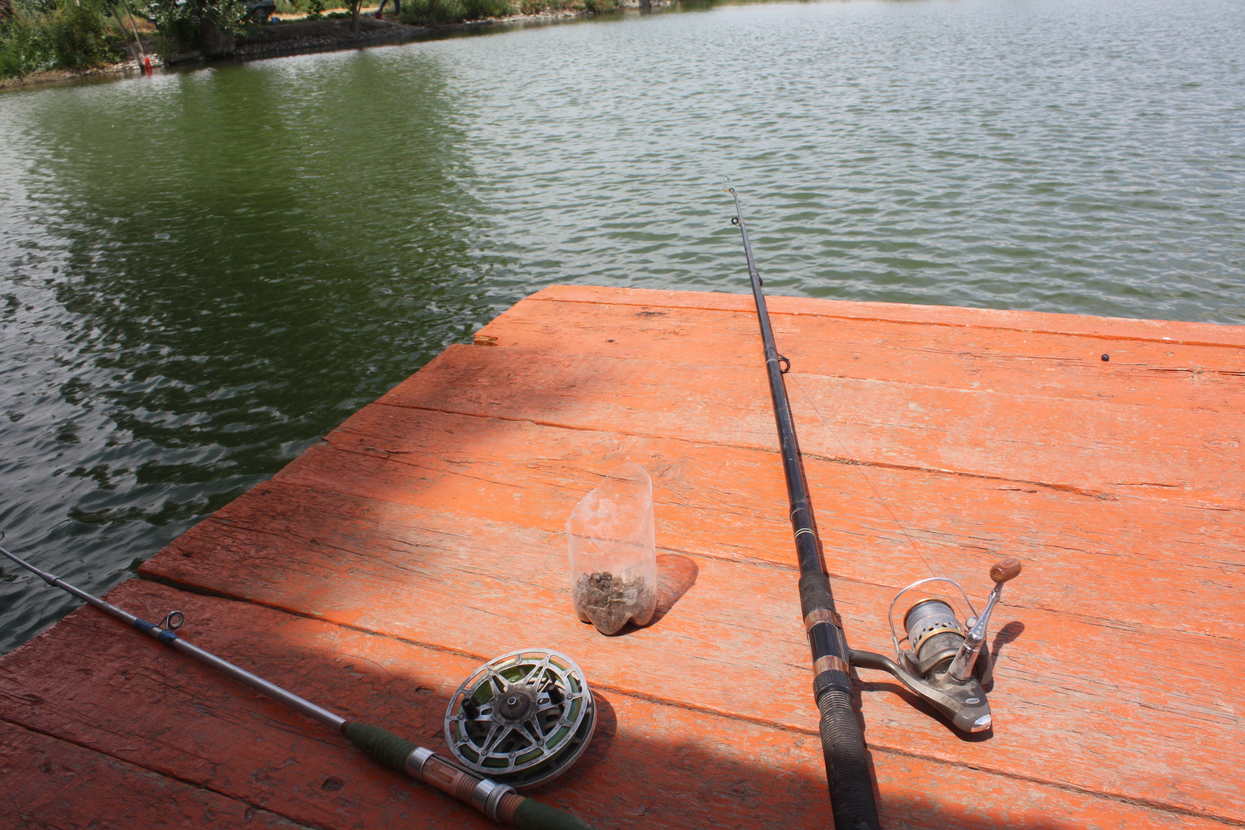Более ста водоемов Жамбылской области перспективны для рыбоводства