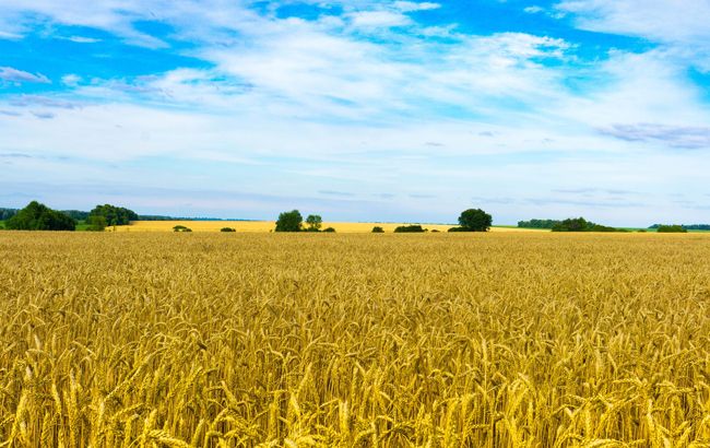 Объем сельхозпродукции растет в Жамбылской области благодаря господдержке