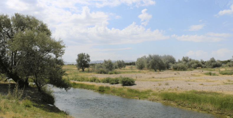 Платить иль не платить – задаются вопросом жители массива «Майский» Жамбылского района