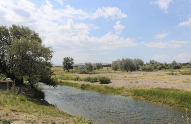 Платить иль не платить – задаются вопросом жители массива «Майский» Жамбылского района
