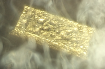 Золото будут добывать по передовым технологиям в Кордайском районе Жамбылской области