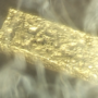 Жамбыл облысының Қордай ауданында озық технологияларды қолдана отырып алтын өндіріледі