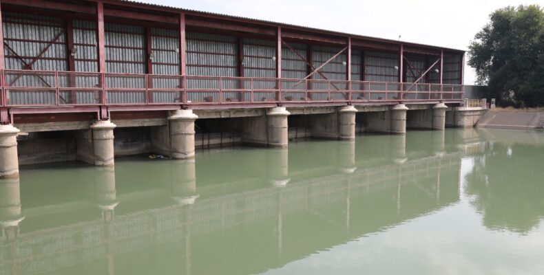 Водосбережение, несмотря на засуху, позволило жамбылским крестьянам вырастить хороший урожай картофеля