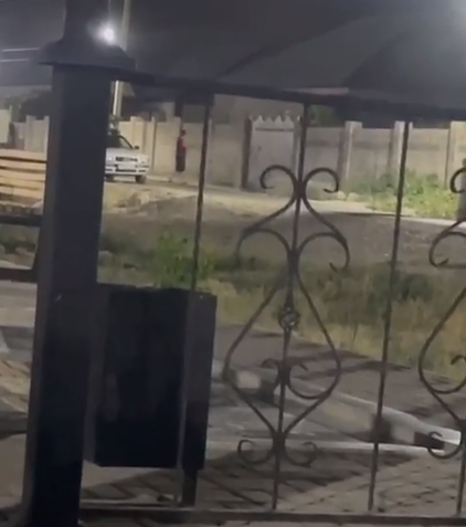 Пьяный мужчина стрелял в ворота дома жителя Жамбылской области