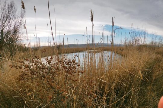 Сколько родников в Казахстане и для чего они могут пригодиться