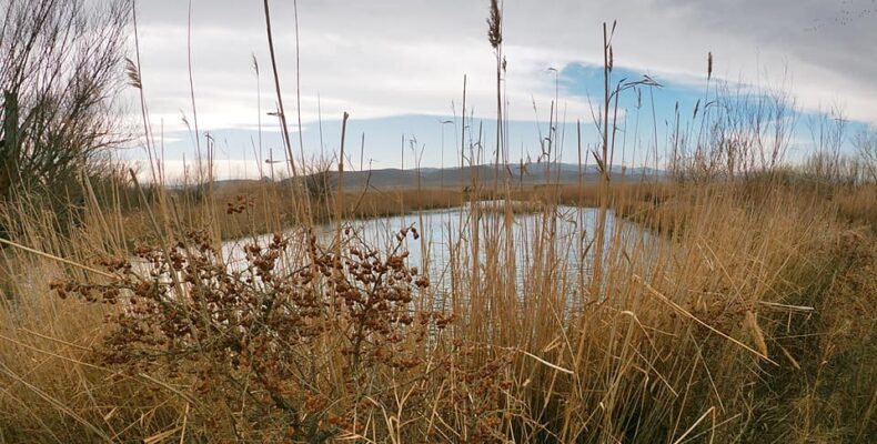 Сколько родников в Казахстане и для чего они могут пригодиться