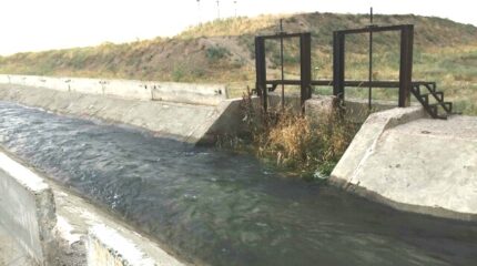Как обеспечивают стабильное водоснабжение орошаемых площадей Жамбылской области
