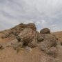 «Долину Драконов» обнаружили любители-краеведы близ Тараза
