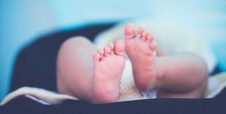 Три тройни за 5 месяцев родились в Жамбылской области