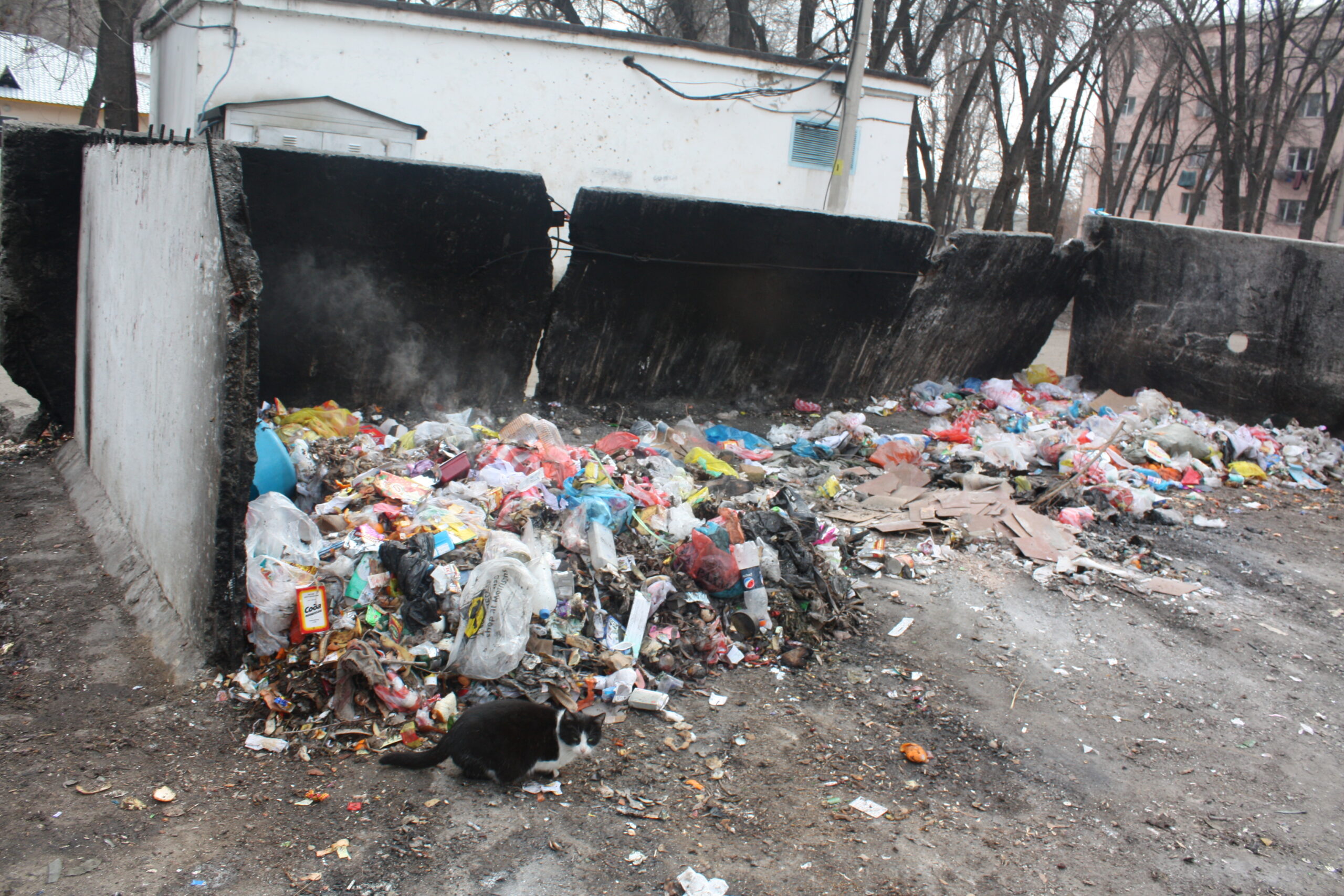 Только 19% мусора утилизируется в Жамбылской области