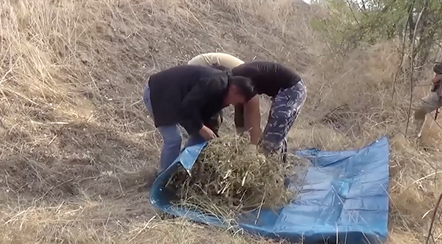 Более 38 кг наркотиков жамбылские полицейские изъяли у жителя Шу
