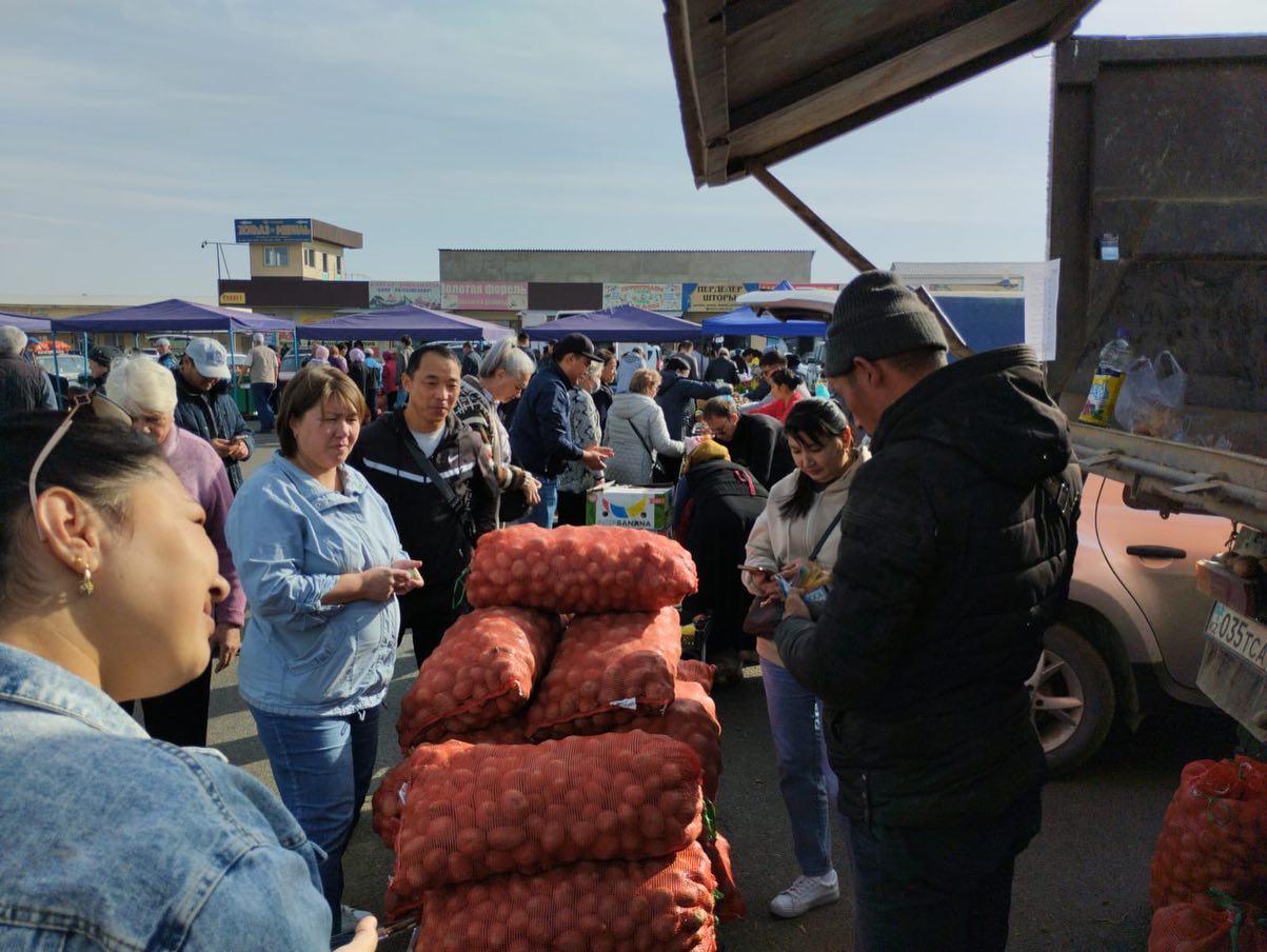 Свыше 57 тонн сельхозпродукции продали на ярмарке в Таразе в День города