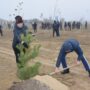 600 деревьев посадили в Таразе