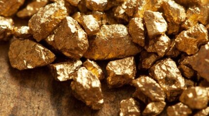 Тонны золотосодержащей руды добывал жамбылец во дворе своего дома