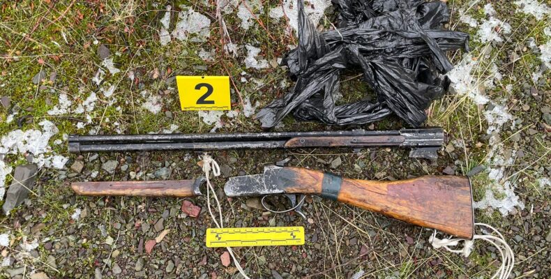 Операция «Скотокрад»: огнестрельное оружие изымают в крестьянских хозяйствах Жамбылской области 