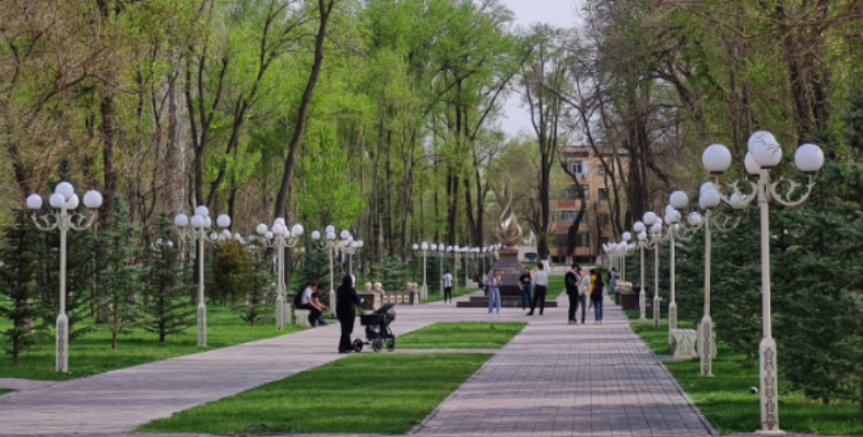 «Таза Қазақстан»: Паспортизацию зелёных насаждений проводят в Таразе