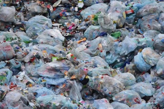 Твёрдый бытовой мусор начнут перерабатывать в Жамбылской области