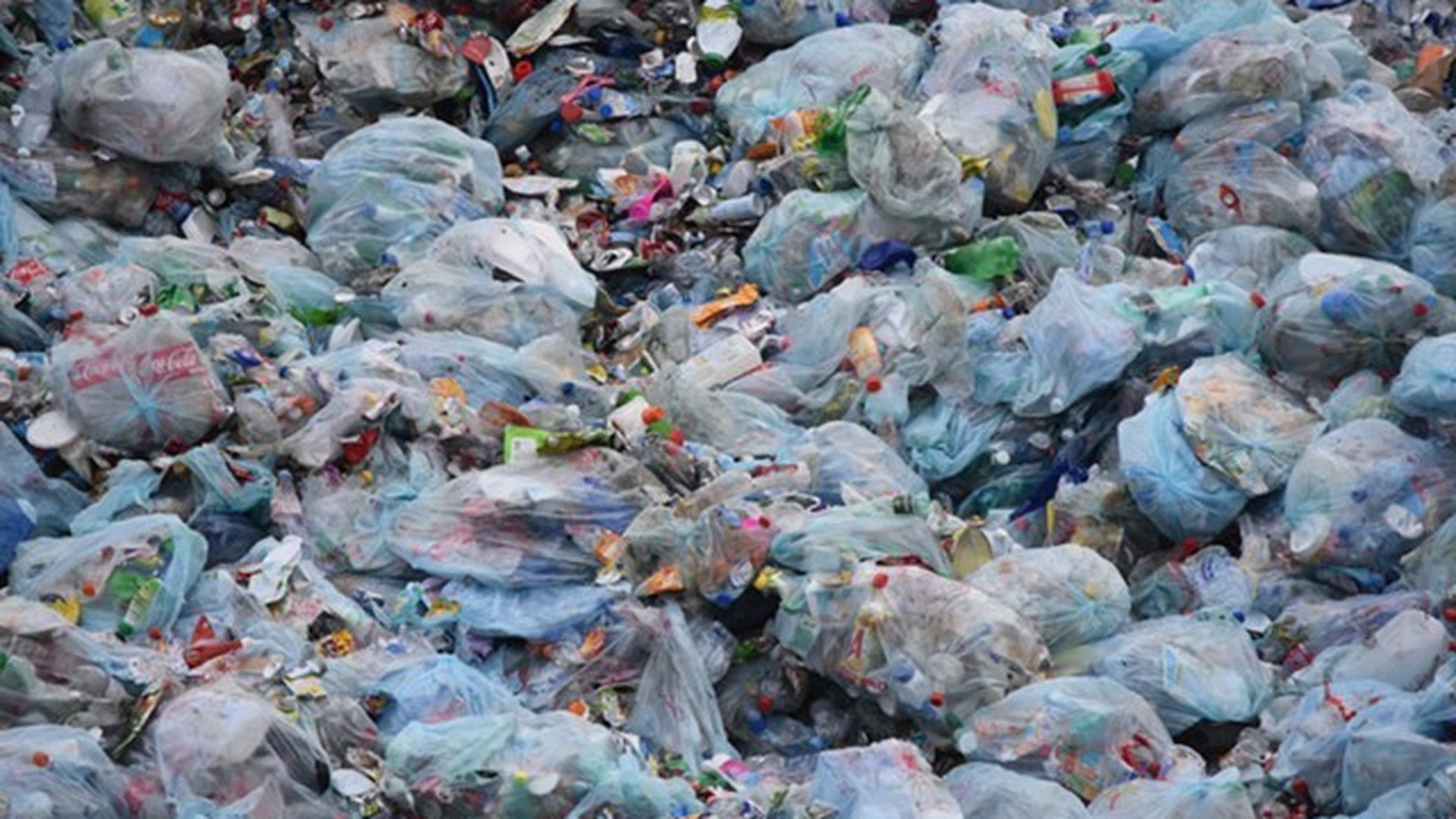 140 млн евро в завод по переработке мусора в Таразе готова вложить зарубежная компания