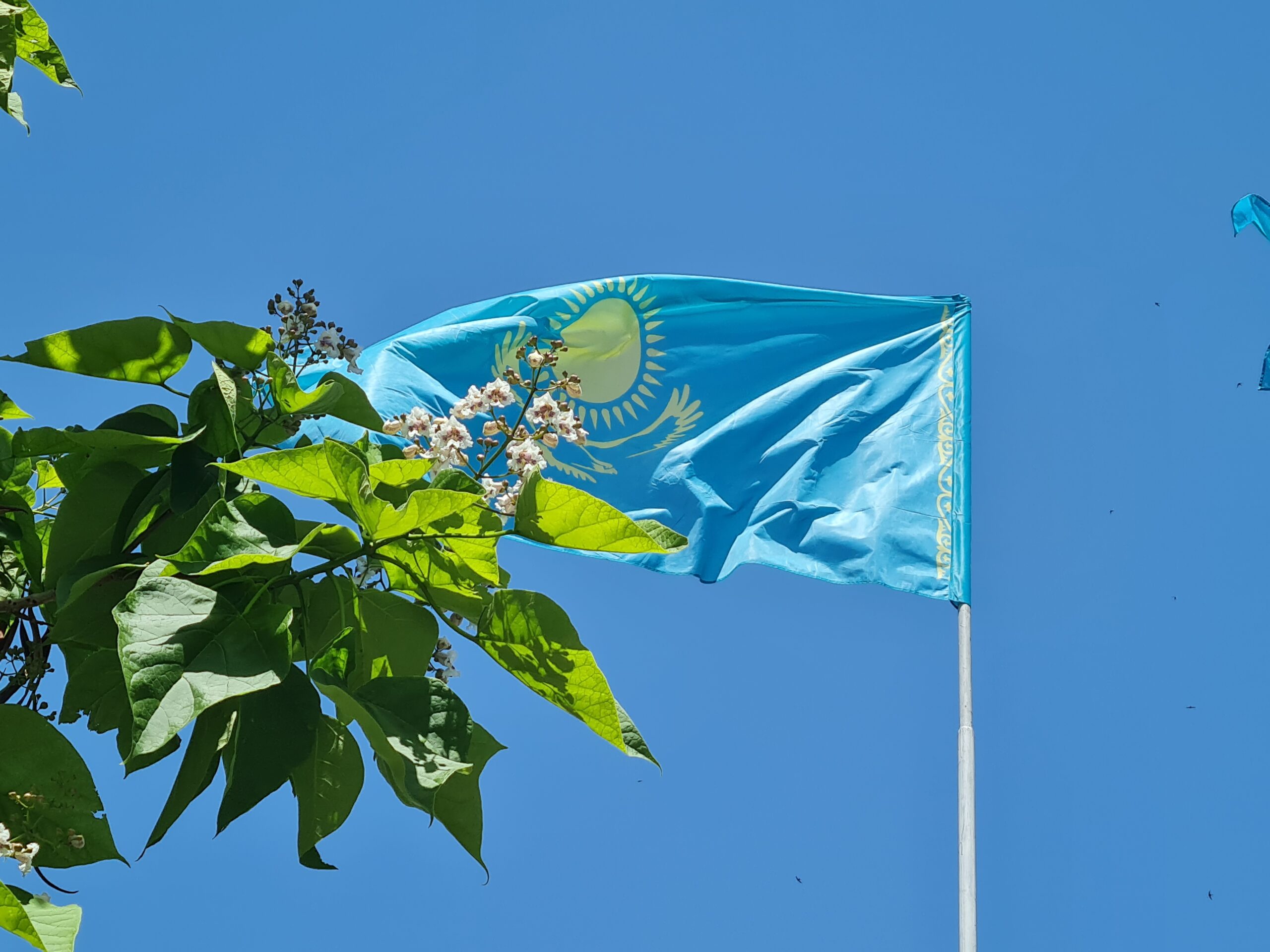 Какое отношение к Жамбылской области имеют авторы Флага и Гимна Казахстана