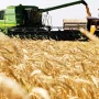 Сельхозугодья помогли найти инвестору прокуроры в Жамбылской области