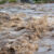 Новые ливневые системы строят в пострадавшем от подтопления жамбылском селе Жасоркен