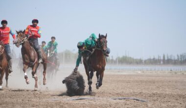 Жамбылские кокпаристы снова лидируют