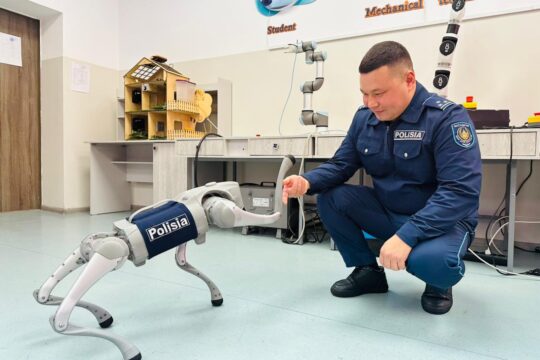 Роботы, лихачи, скворечники – будни полиции