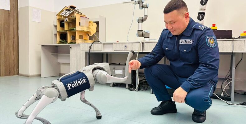 Роботы, лихачи, скворечники – будни полиции