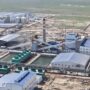 Впервые в ЦА: на полную мощность запустили завод аминокислот в Жамбылской области